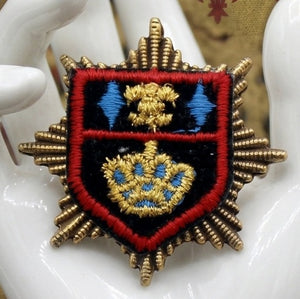 Vintage JULIANA Heraldic Shield Fleur de Lis Star Brooch NEW FIND IIJJ#9054